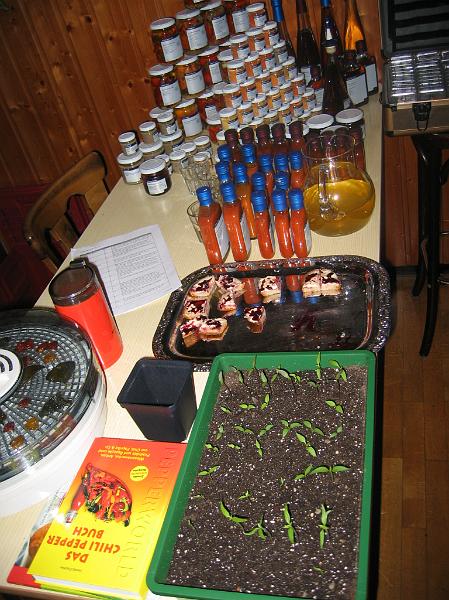 projekttag08 (40).JPG